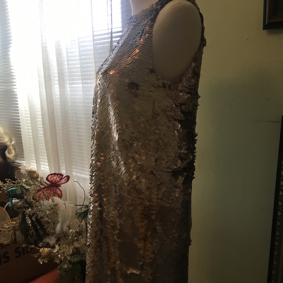Paper Crown Cambria Sequined shift Dress - Picture 5 of 6